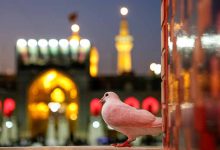 سفر به مشهد