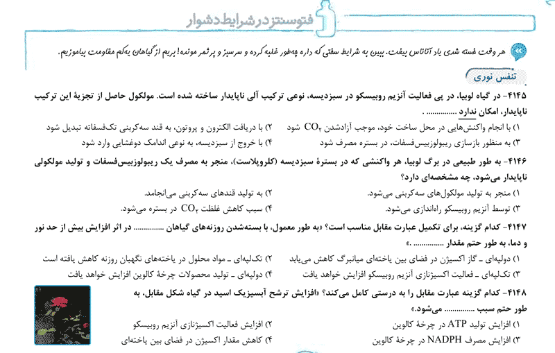 کتاب و مطالعه