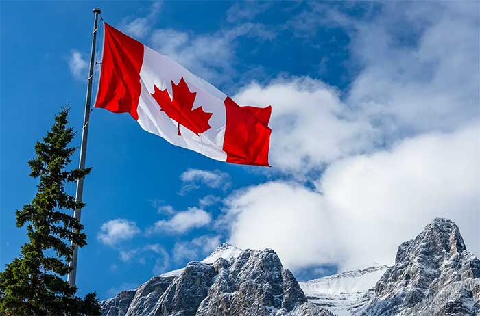 مهاجرت بهترین رشتهها برای مهاجرت به کانادا: انتخابهای 2025
