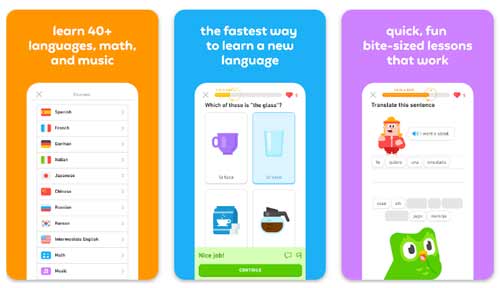 دولینگو (Duolingo) – آموزش رایگان ترکی استانبولی