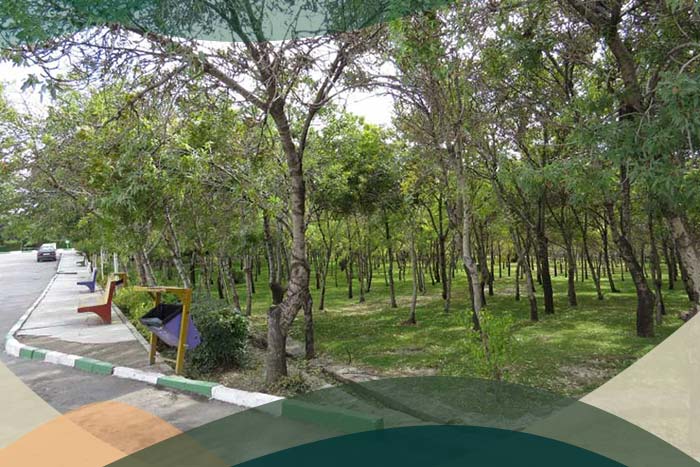 ایران گردی پارک جنگلی شیختپه