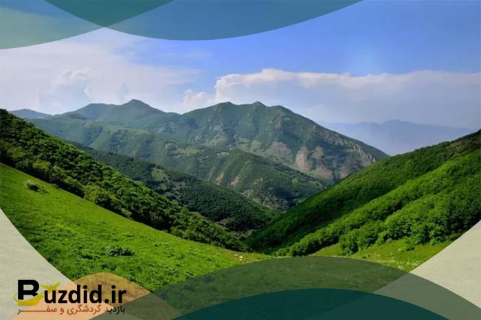جنگل‌های ارسباران: گنجینه تنوع زیستی