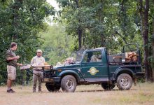 7 بهترین ترفند برای مسافرت در جنگل (و 5 ترفند آشپزی در طبیعت)