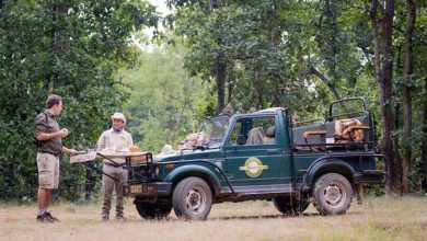 7 بهترین ترفند برای مسافرت در جنگل (و 5 ترفند آشپزی در طبیعت)