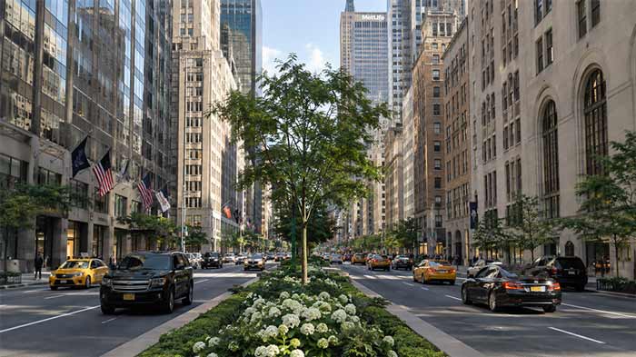 Park Avenue (پارک اَوِنیو)؛ برای دوستداران معماری